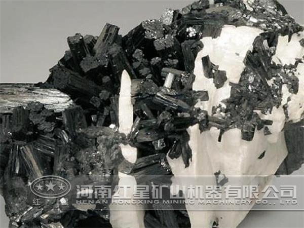 猛矿最新价格，揭示价格变化中的友情小确幸