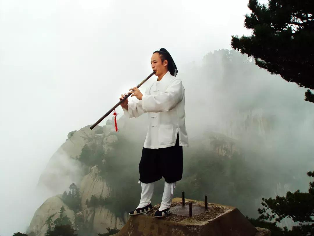抚琴的人最新小说深度探究，价值与影响分析