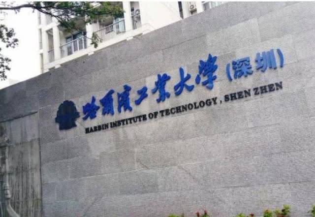 最新保研政策,最新保研政策下的独特机遇，小巷中的隐藏宝藏
