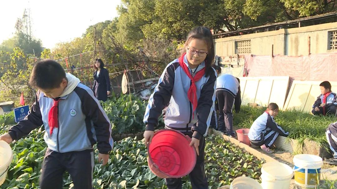 学习变革的力量