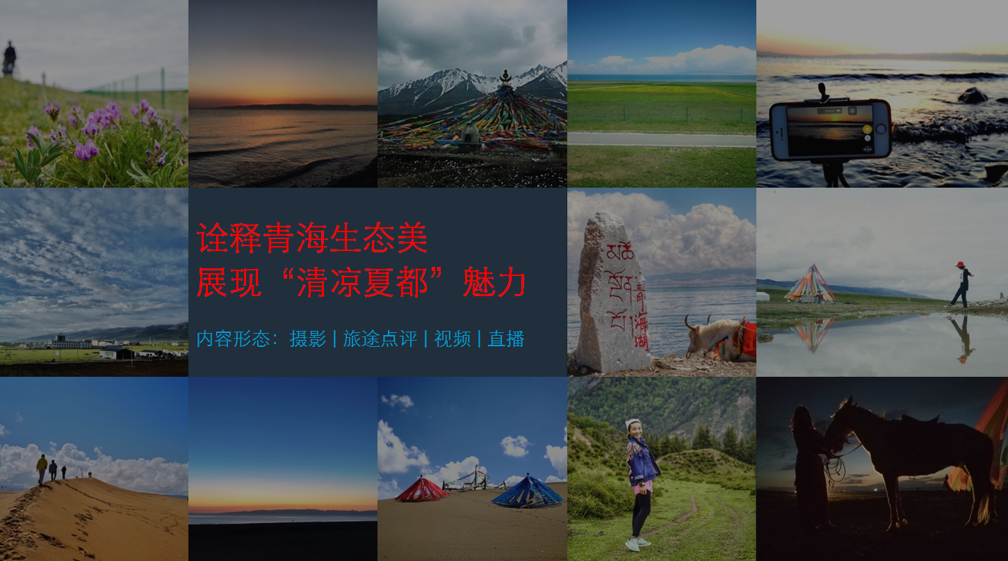JP邮资片最新行情，探索自然美景之旅，寻找内心平和的旅行邮票收藏之道