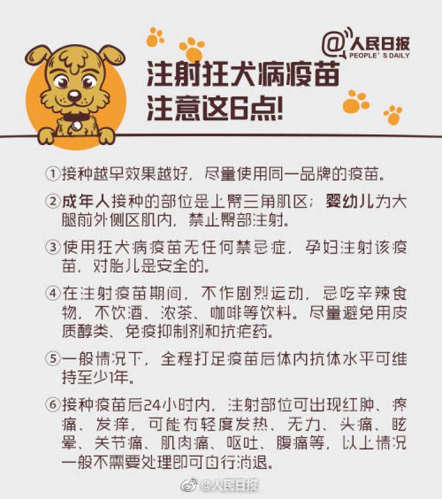 死亡作业最新章节阅读，挑战与成长之旅，自信与成就感的汇聚