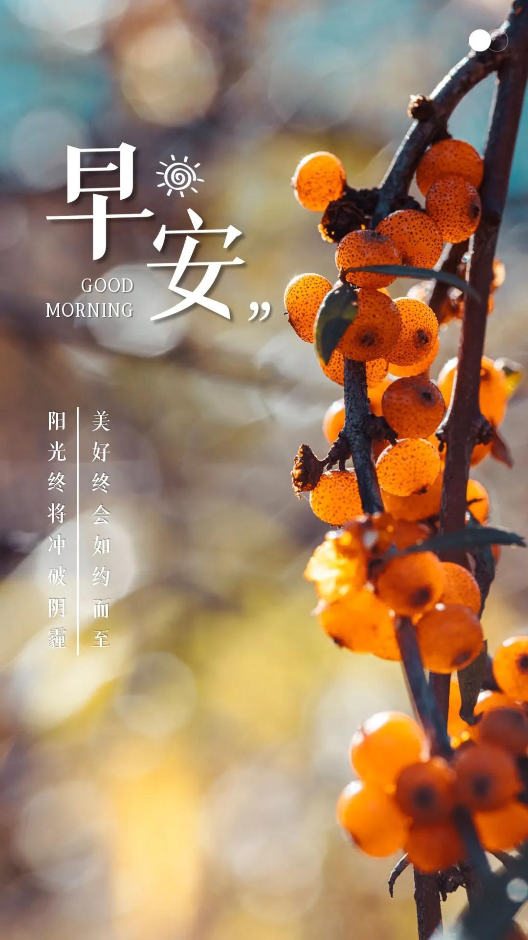 最新早安正能量的句子，撰写技巧与应用指南