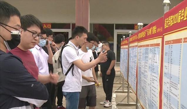 天合光能最新招聘，绿色能源领域的璀璨明星职位开启招募之旅