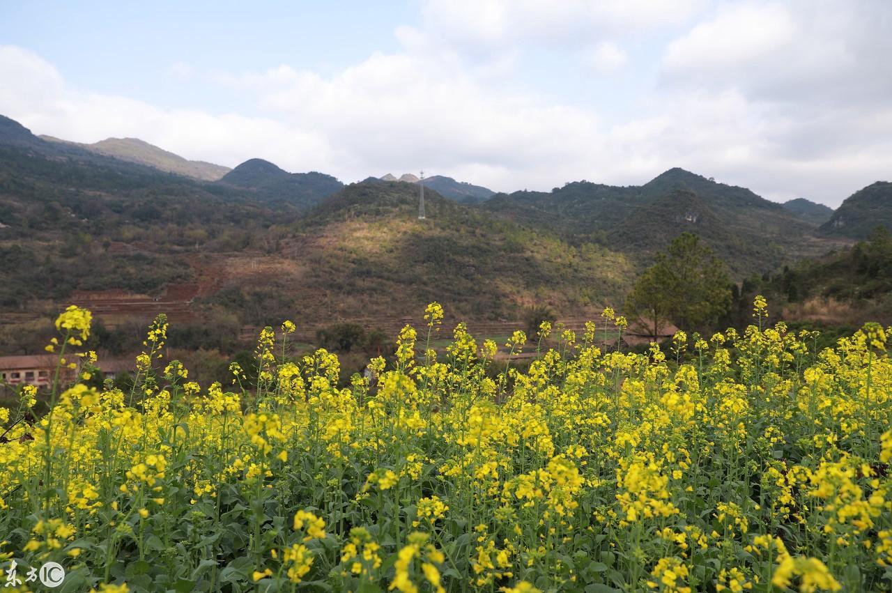 三峡水利最新消息,三峡水利最新消息，一场探索自然美景的轻松之旅