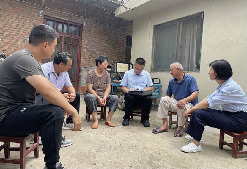 江苏大蒜价格最新行情,江苏大蒜价格最新行情详解，如何获取与分析大蒜价格信息