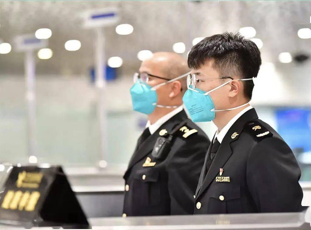 海关最新动态，温馨日常的更新