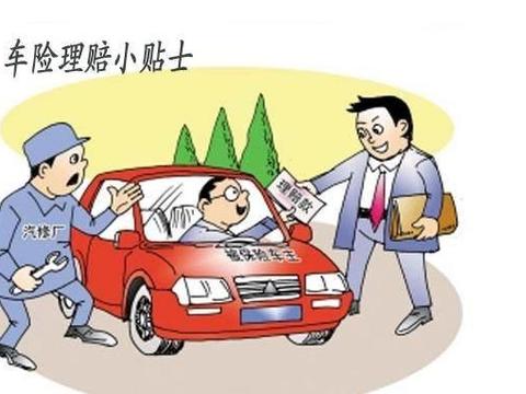 偷车最新，日常趣事中的不寻常篇章