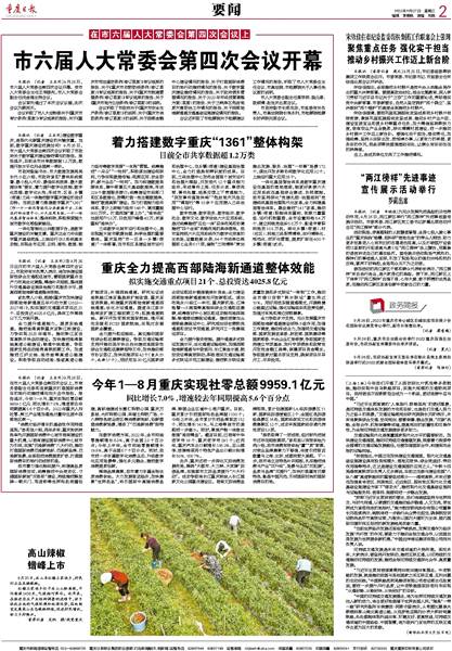 重庆人大最新任免公告及步骤指南