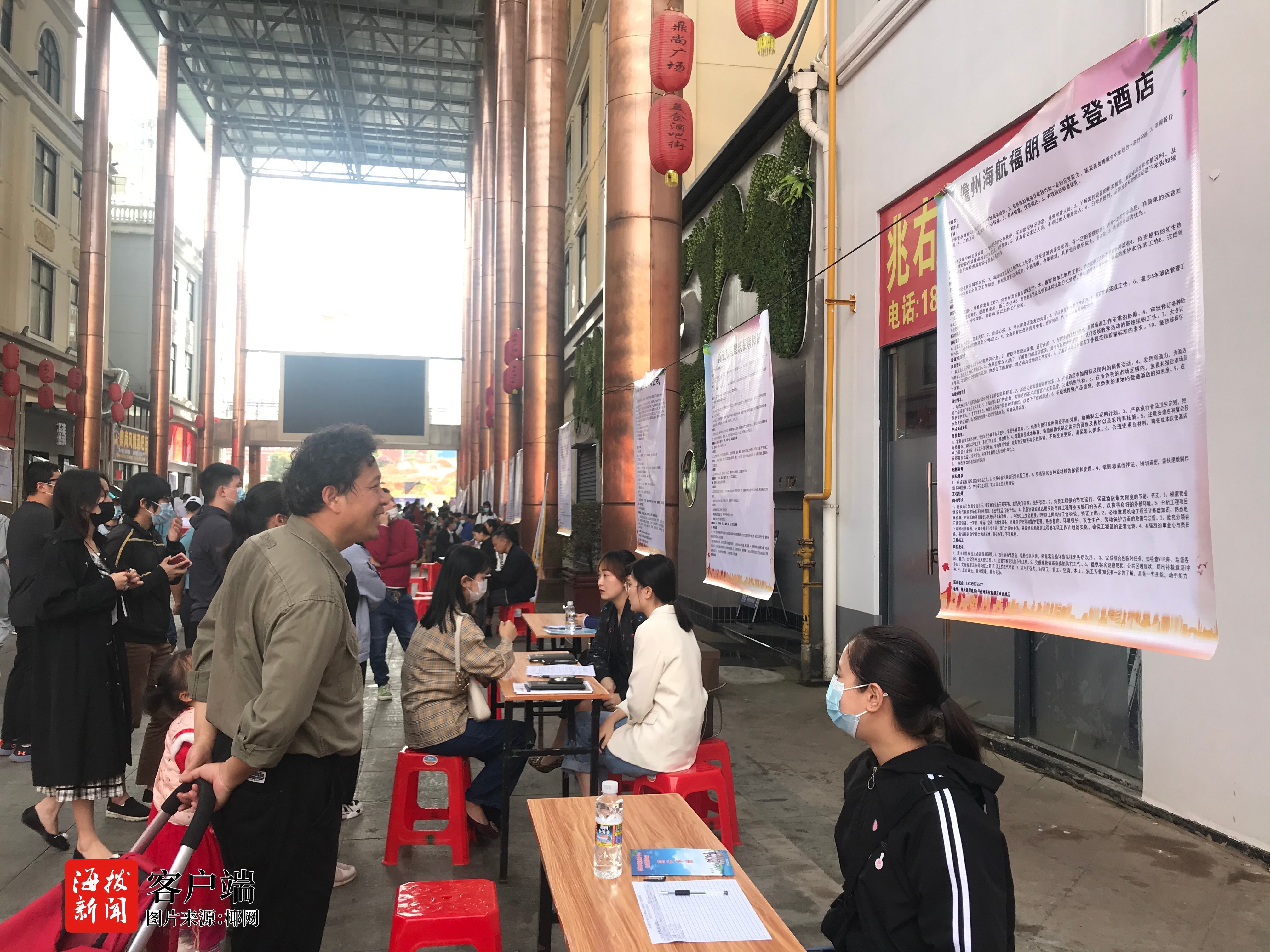 深度解析与观点分享