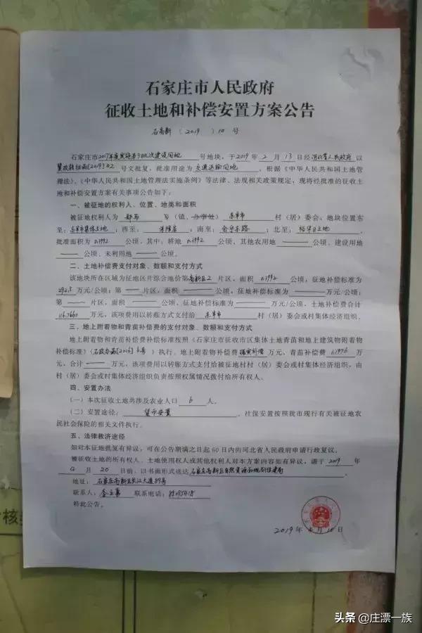 石家庄东羊市最新动态更新，关注最新消息揭秘！