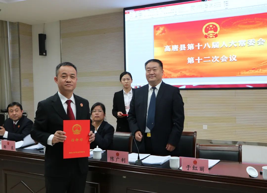 小巷中的惊喜发现
