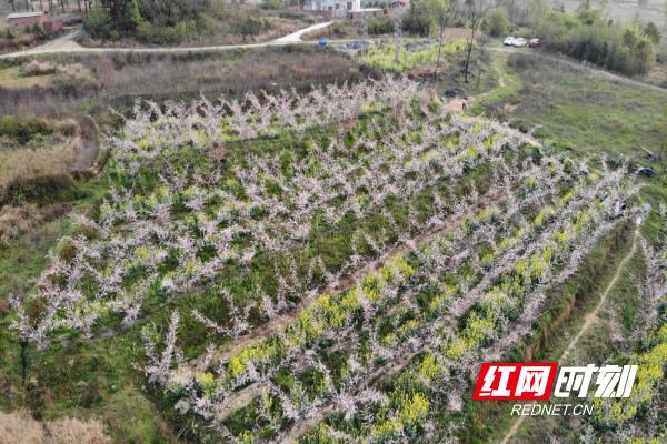 冷水滩上岭桥最新规划,冷水滩上岭桥最新规划，描绘未来的繁荣蓝图