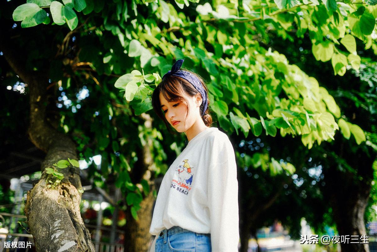 时代印记与文化绽放，最新唯美美文美图分享