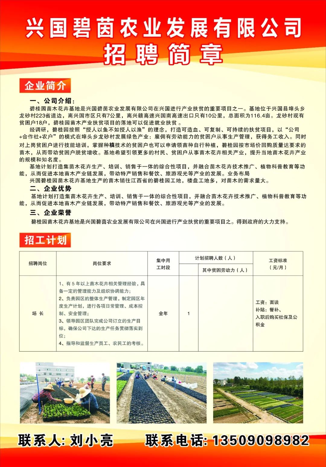 兴国在线最新招聘,兴国在线最新招聘，一场充满爱与陪伴的求职奇遇记