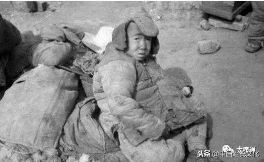 饥饿鲨最新破解版，探险解密，寻找乐园还是触碰法律底线？