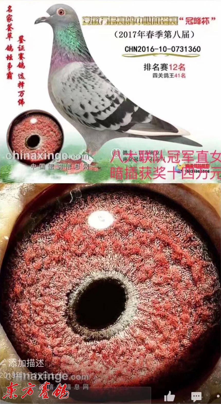 万佛公棚最新公告,万佛公棚最新公告