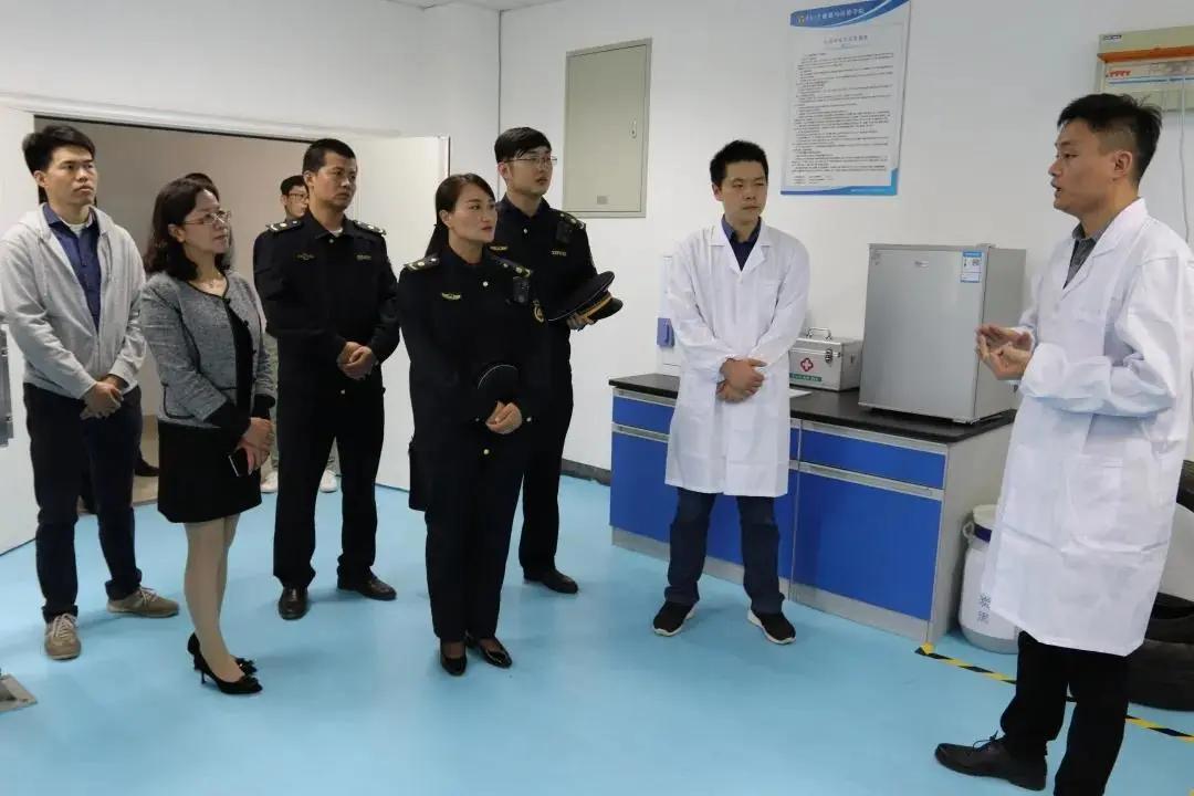南京江北新区最新动态,南京江北新区最新动态，探索与体验指南