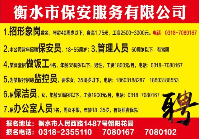 安国最新会计招聘信息汇总🌟