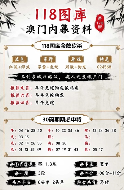 澳门722525.com,统计信息解析说明_OGS25.649高效版