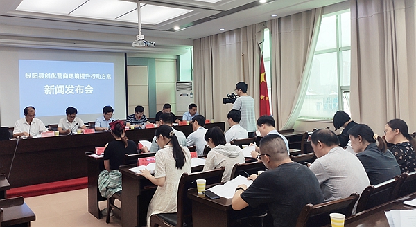 枞阳县最新新闻报道更新速递