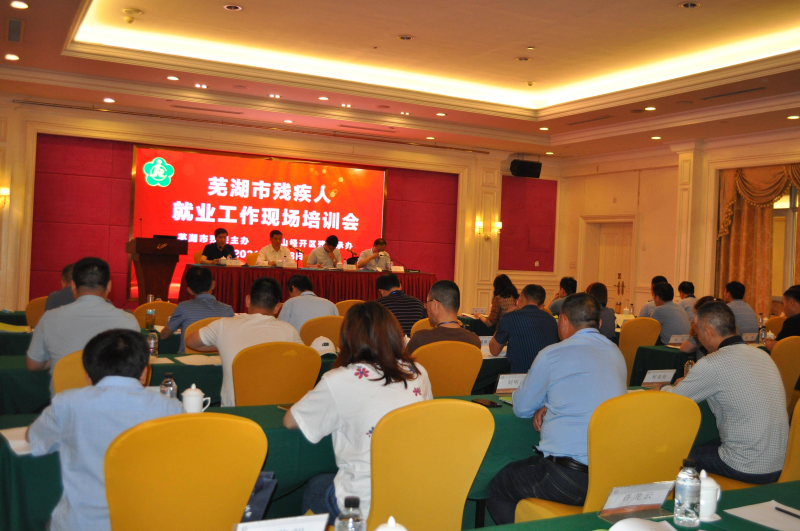 安徽寿县双桥最新动态，任务指南与技能学习步骤全解析