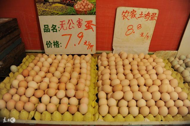 周口鸡蛋实时价格更新