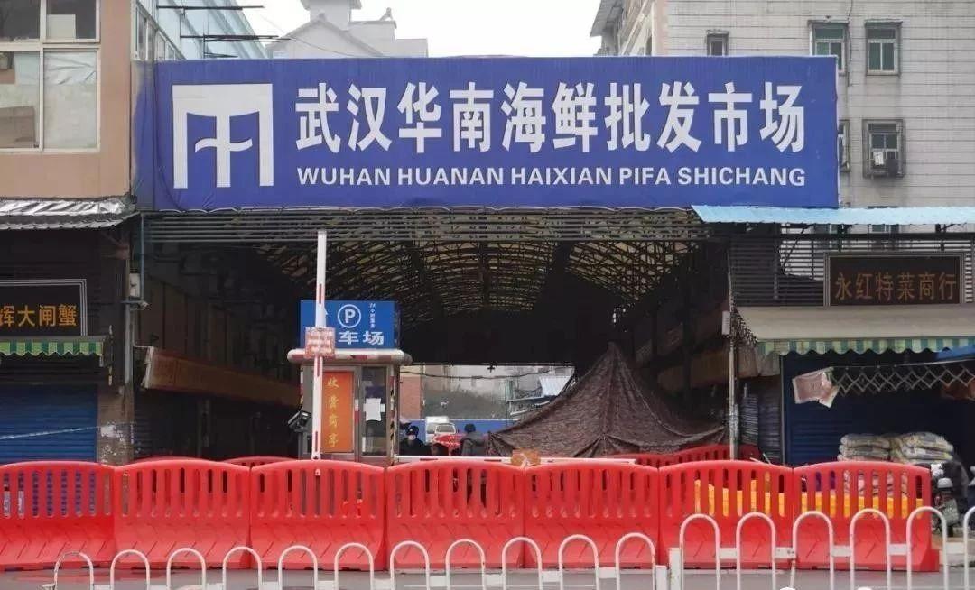 最新病毒追踪报告，步骤指南与实时更新