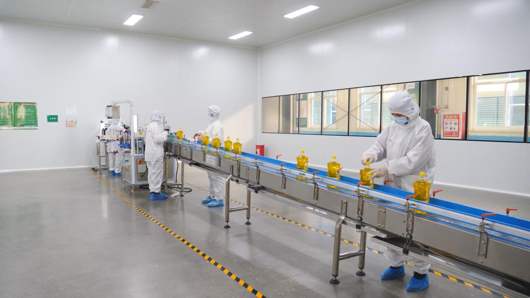 广平最新新闻，多元视角下的观察与深度解读