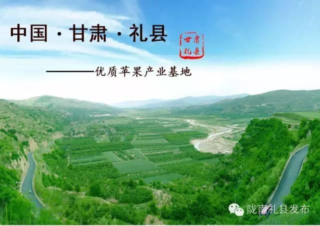 礼县贴吧使用指南，最新动态与步骤详解