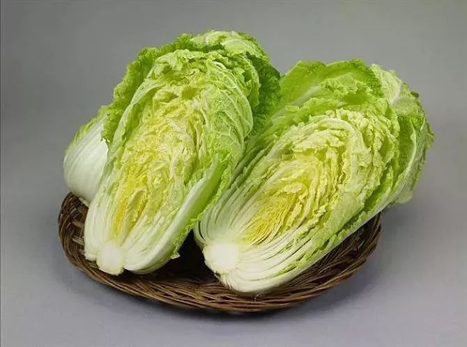 2019最新白菜成长记，励志故事中的变化与成长