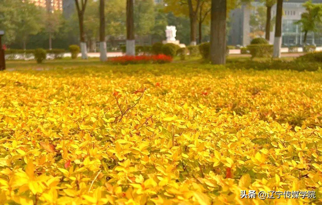 辽长铁路最新动态，探寻自然美景的诗意之旅启程在即