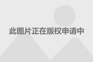 四会家园最新动态，巷弄深处的独特风味揭秘