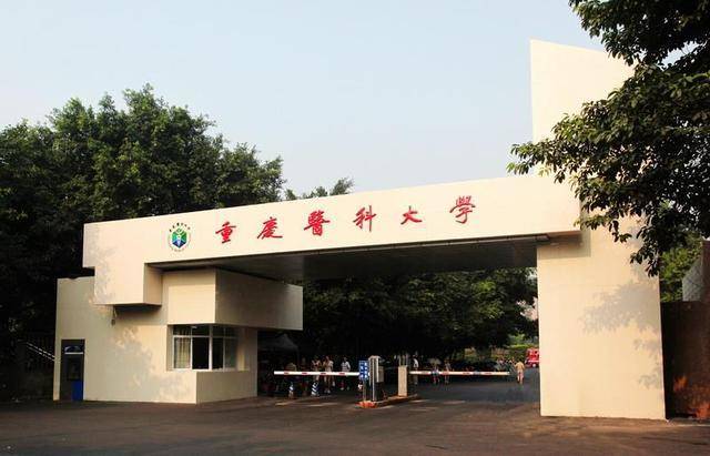 四所合一最新动态深度解读，核心要点一览