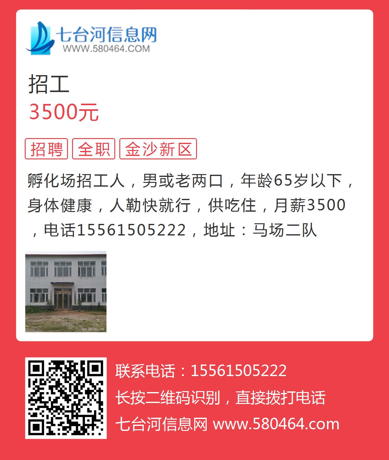 九台最新招聘信息网，时代背景下的就业信息枢纽