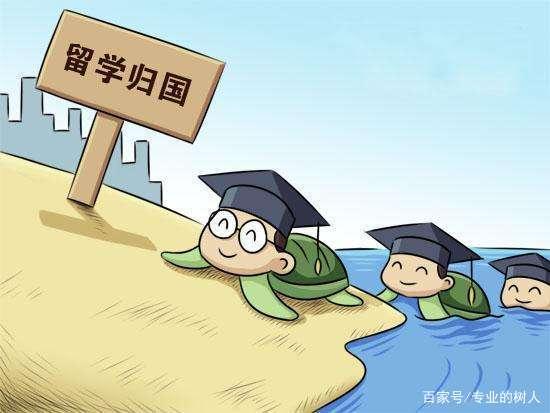 境外留学生回国最新政策下的温馨故事与启示
