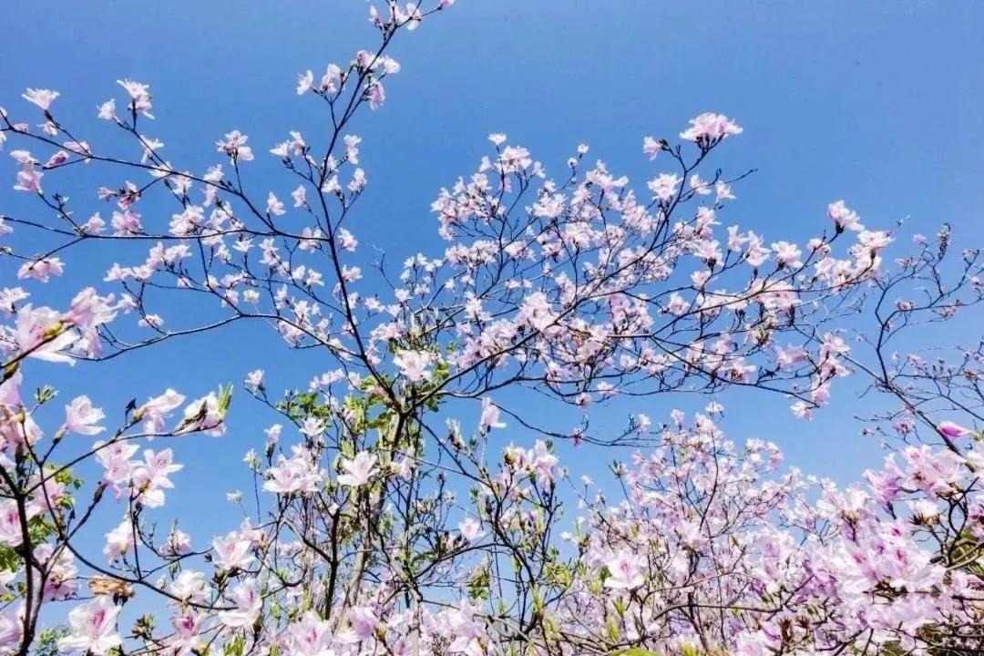 岳宜高速最新消息,岳宜高速上的温情故事