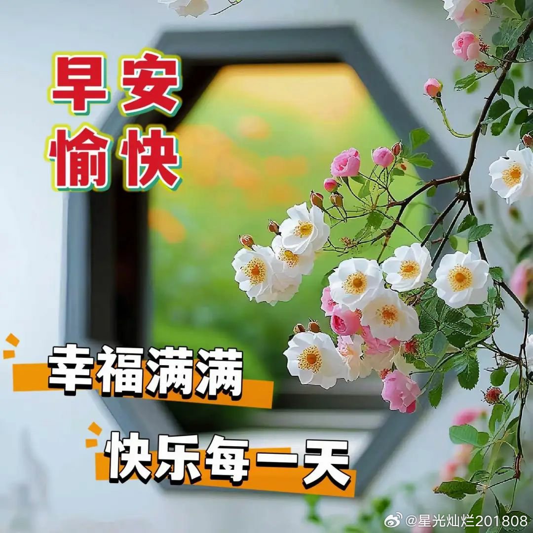 108社区早上好，阳光满溢的美好瞬间最新图片