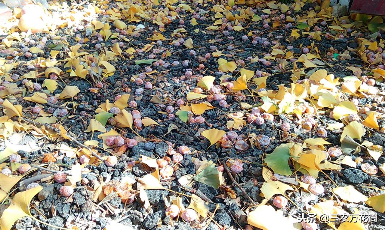 久草视频最新在线趋势探索，热门内容与探索